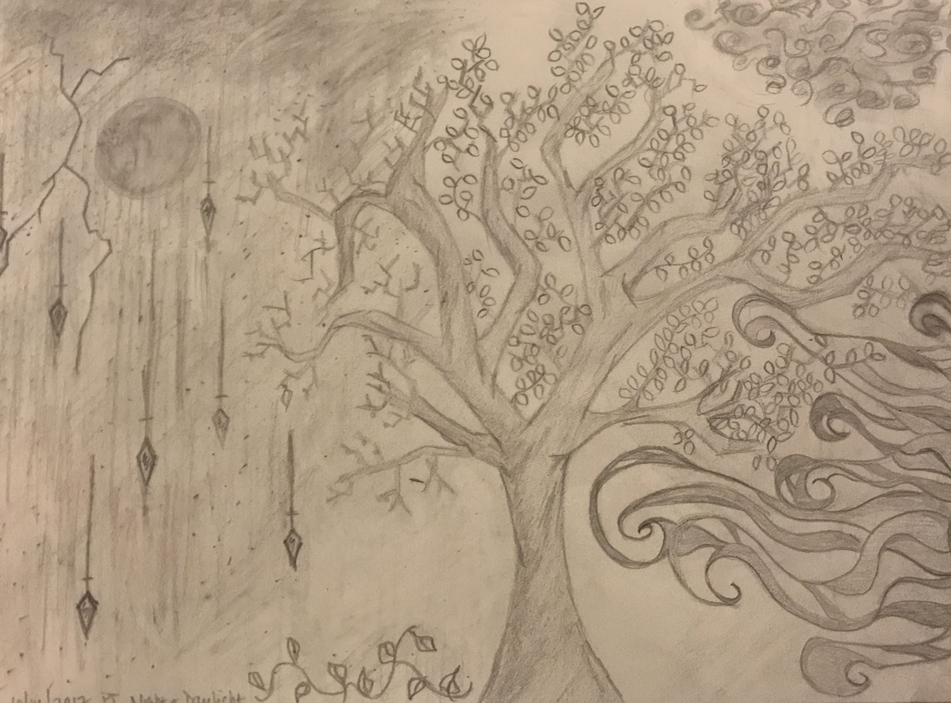 IMG_7996 - Version 2.JPG