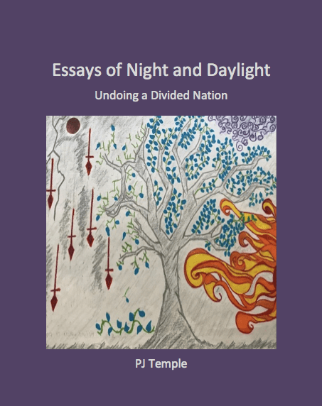 Screen Shot 2018-06-02 at 1.33.51 AM